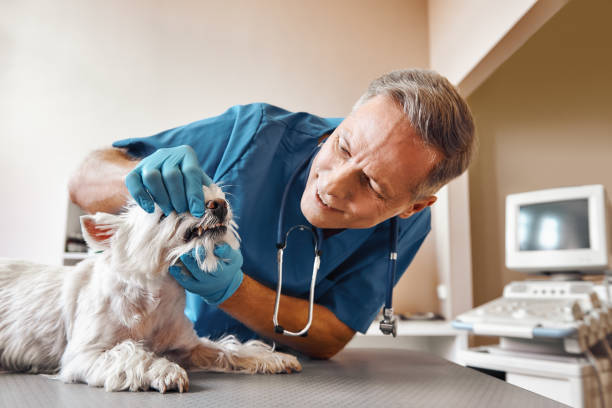 Best Broken Tooth Emergency  in Smithers, WV